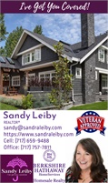 BHHS Homesale Realty - Sandy Leiby