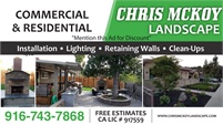 Chris McKoy Landscape