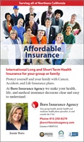 Boro Insurance Agency