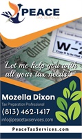 Peace Tax Services