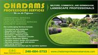 Chadam's Professional Services