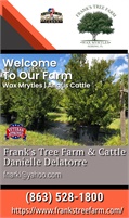 Frank's Tree Farm & Cattle