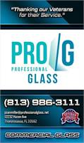 Professional Glass