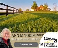 Century 21 Real Estate, LLC - Ann Todd