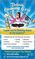     Detroit  Cleaning Guru