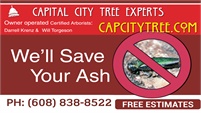 Capital City Tree Experts, Inc.